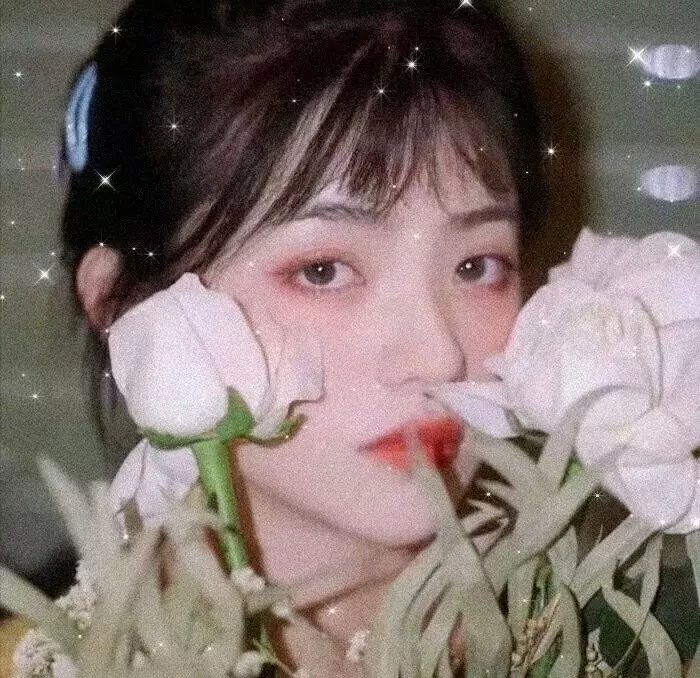 万物生灵第一季